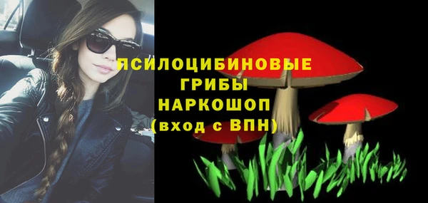 МДПВ Алексеевка