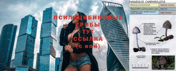 МДПВ Алексеевка