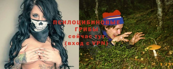 бошки Алексин