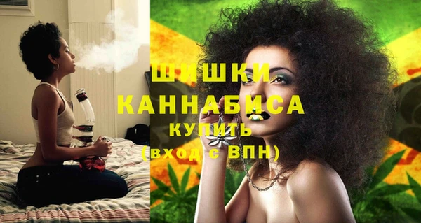 бошки Алексин