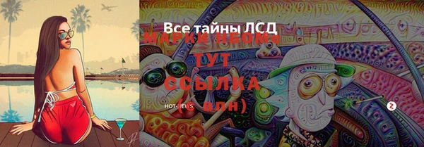 бошки Алексин