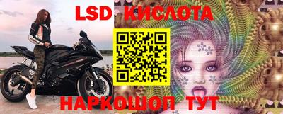 винт Тара