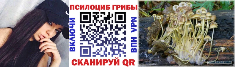 купить наркотик  Чебоксары  Галлюциногенные грибы мицелий 