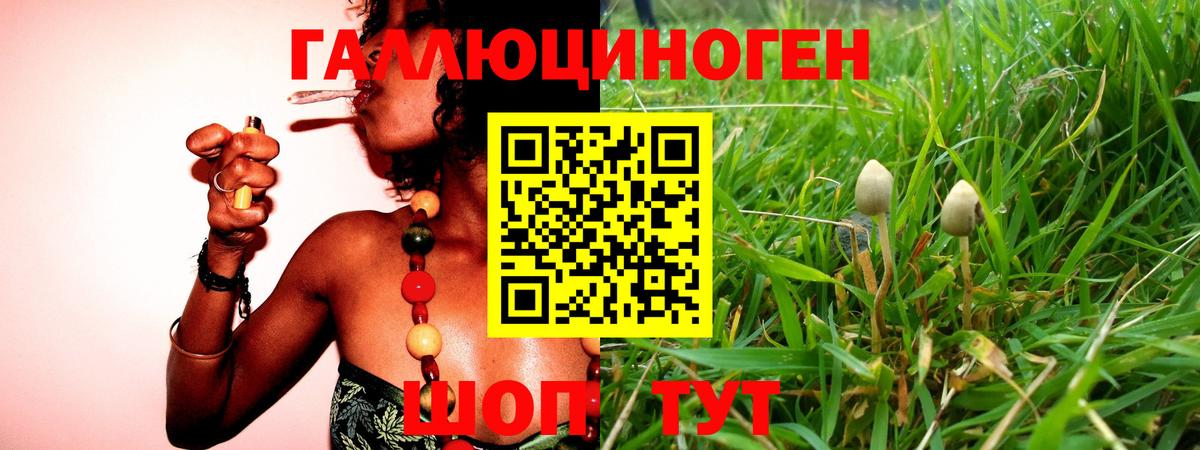 Галлюциногенные грибы мухоморы Чебоксары